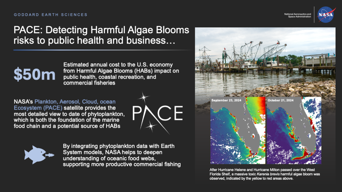 Thumbnail of this highlight slide 5