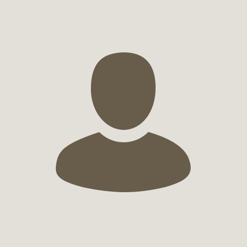 HassanaliAkbari profile picture